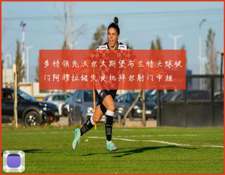 多特领先沃尔夫斯堡布兰特头球破门阿穆拉错失良机拜尔射门中框
