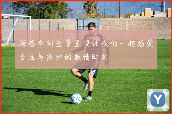 海港冬训全景呈现让我们一起感受专注与热血的激情时刻