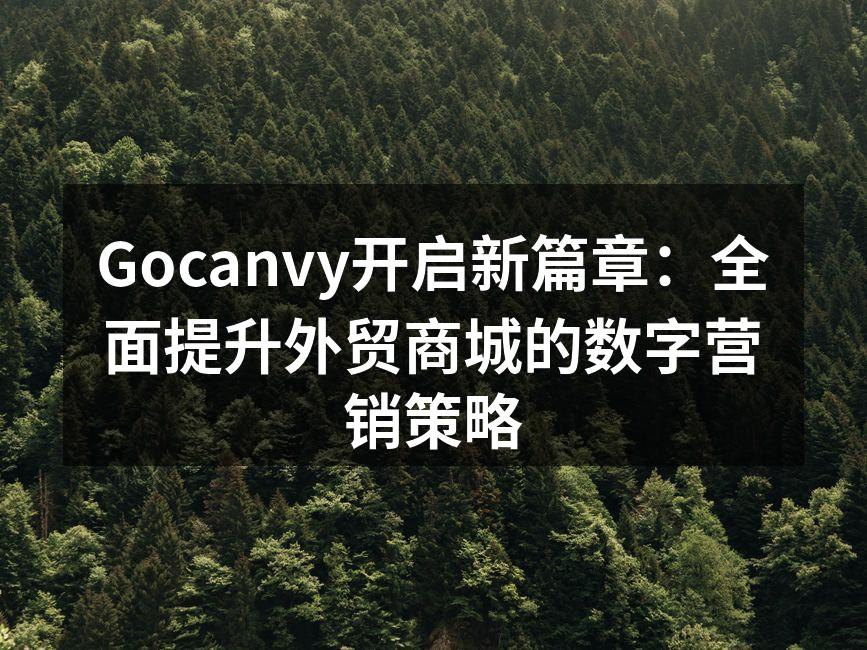 Gocanvy开启新篇章：全面提升外贸商城的数字营销策略