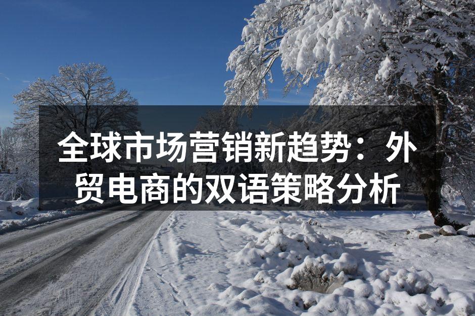 全球电商市场的双语营销趋势