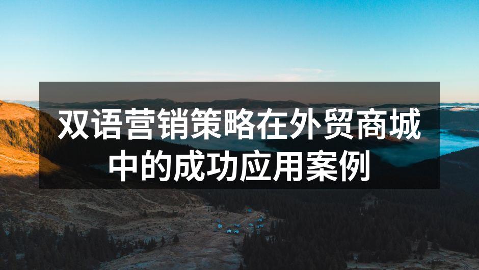 双语营销的成功案例