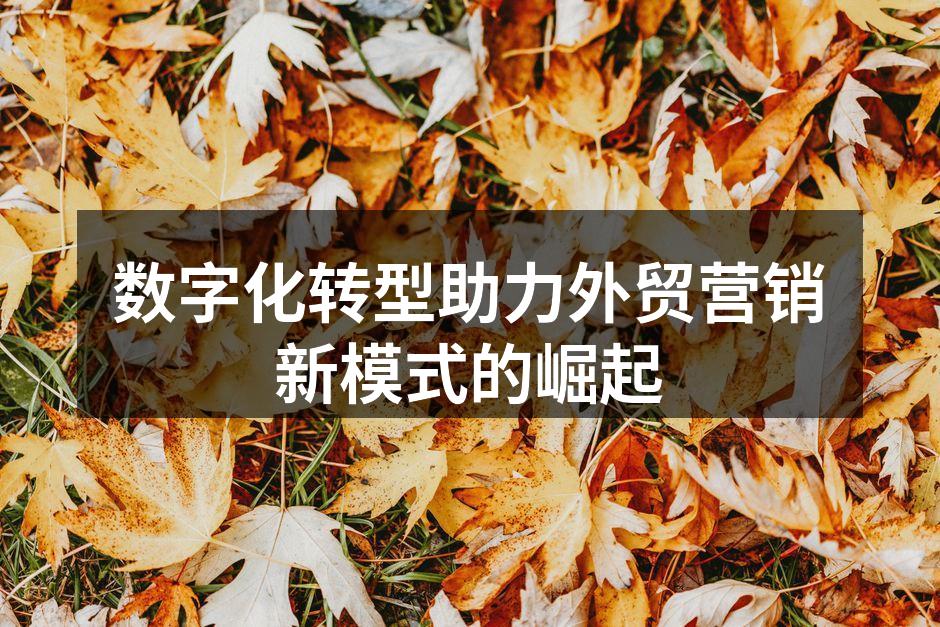 数字化转型助力外贸营销新模式的崛起