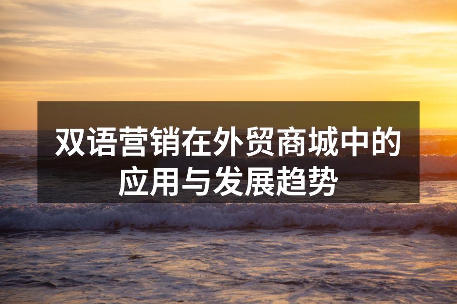 双语营销在外贸商城中的应用与发展趋势