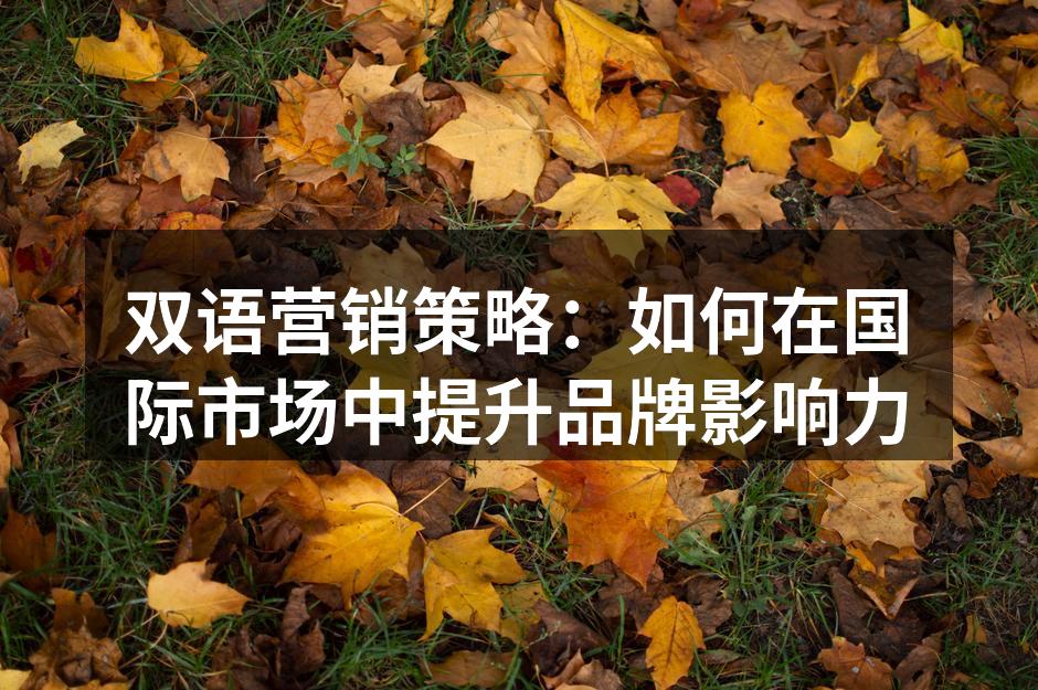 双语营销策略：如何在国际市场中提升品牌影响力