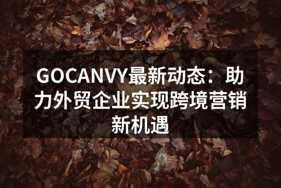 GOCANVY团队积极参与市场调研