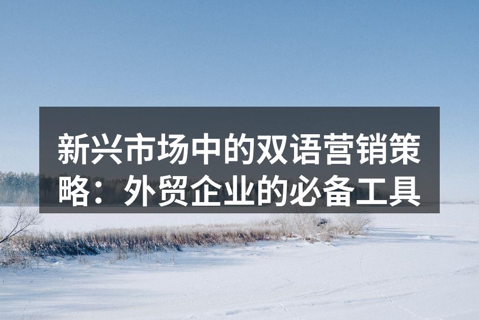 双语营销策略示意图