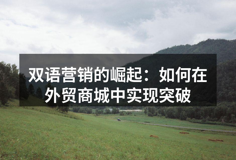 双语营销助力品牌国际化