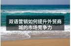 双语营销如何提升外贸商城的市场竞争力