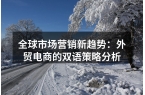 全球市场营销新趋势：外贸电商的双语策略分