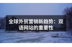 全球外贸营销新趋势：双语网站的重要性