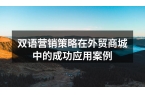双语营销策略在外贸商城中的成功应用案例