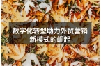 数字化转型助力外贸营销新模式的崛起