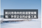 新兴市场中的双语营销策略：外贸企业的必备