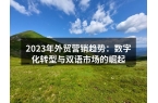 2023年外贸营销趋势：数字化转型与双语