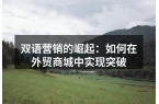 双语营销的崛起：如何在外贸商城中实现突破